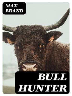 cover image of Bull Hunter